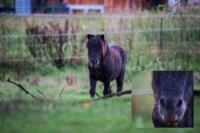 118383034_3515321725158228_7241857030958817882_n.jpg 118383034_3515321725158228_7241857030958817882_n.jpg