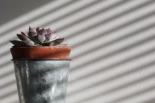 IMG_0175.jpg IMG_0175.jpg