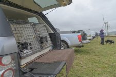 _7817000.jpg _7817000.jpg