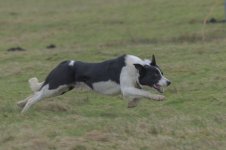 _7822807.jpg _7822807.jpg