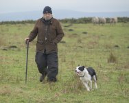 _7822823.jpg _7822823.jpg