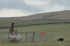 _7822846.jpg _7822846.jpg