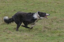 _7822894.jpg _7822894.jpg