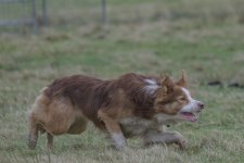 _7822923.jpg _7822923.jpg