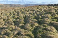 _7817114.jpg _7817114.jpg