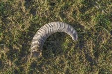 _7817084.jpg _7817084.jpg