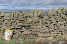 _7817083.jpg _7817083.jpg