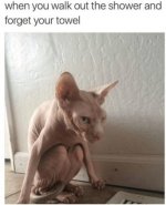 towel.jpg
