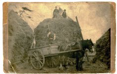 Lyham Farm Chatton.jpg