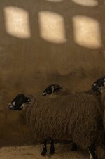 _7817307.jpg _7817307.jpg