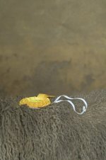 _7817400.jpg _7817400.jpg