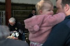 _7817295.jpg _7817295.jpg