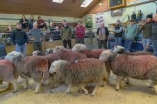 _7817333.jpg _7817333.jpg