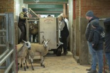 _7817178.jpg _7817178.jpg