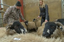 _7817210.jpg _7817210.jpg