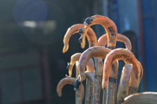 _7817367.jpg _7817367.jpg