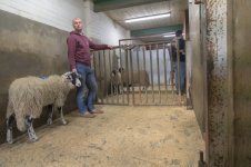 _7817481.jpg _7817481.jpg