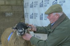 _7817267.jpg _7817267.jpg