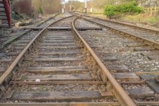 week 5 - snappers.jpg