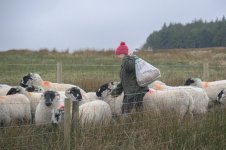 _7817504-2.jpg _7817504-2.jpg