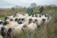 _7823033.jpg _7823033.jpg