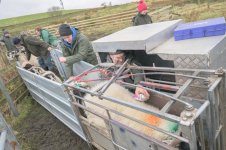 _7823067.jpg _7823067.jpg