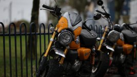 Monkey bikes mumbles Feb 2024 Tamron 85mm @ 1.8 sized to 1023px wide .jpg