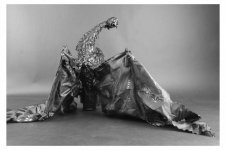 IMG_0395.jpeg IMG_0395.jpeg