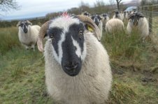 _7817579.jpg _7817579.jpg