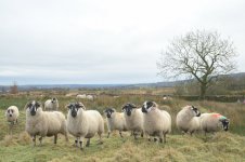 _7817589.jpg _7817589.jpg