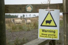 _7817599.jpg _7817599.jpg