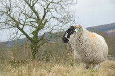 _7817610.jpg _7817610.jpg