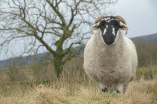 _7817613.jpg _7817613.jpg