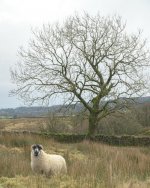 _7817592.jpg _7817592.jpg