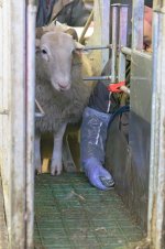 _7823136-Enhanced-NR.jpg _7823136-Enhanced-NR.jpg