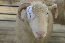 _7823184.jpg _7823184.jpg