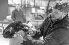 _7823224.jpg _7823224.jpg