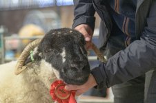 _7823236.jpg _7823236.jpg