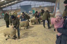 _7823291.jpg _7823291.jpg