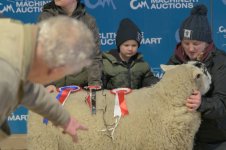 _7823332.jpg _7823332.jpg