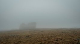 002 Little Mis Tor 01-7929 PS Adj.JPG