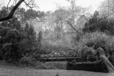 DSC04605-M.jpg DSC04605-M.jpg