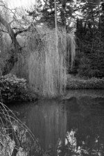 DSC04611-M.jpg DSC04611-M.jpg