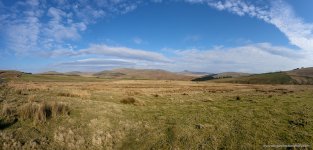 IMG_7218.jpeg IMG_7218.jpeg