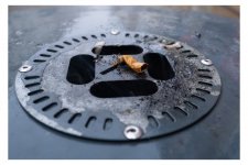 IMG_0517.jpeg IMG_0517.jpeg