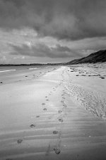 2023-09-18-0023-copy-tp.jpg 2023-09-18-0023-copy-tp.jpg