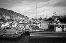 2023-09-18-0031-copy-tp.jpg 2023-09-18-0031-copy-tp.jpg