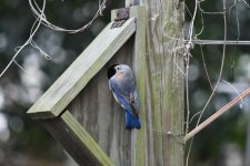 EB_DSC_0054_LR.jpg EB_DSC_0054_LR.jpg