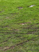 1708509650553.jpeg 1708509650553.jpeg