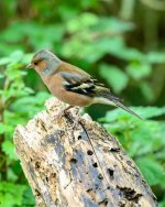 DSC_8049_tp.jpg DSC_8049_tp.jpg